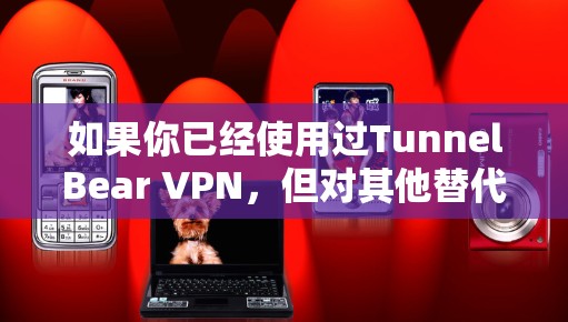 如果你已经使用过TunnelBear VPN，但对其他替代方案不太放心或者希望找到一个更可靠的解决方案，以下是一些可靠和功能强大的替代方案推荐