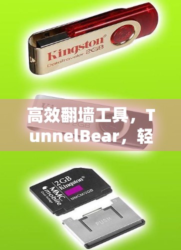 高效翻墙工具，TunnelBear，轻松上网无忧