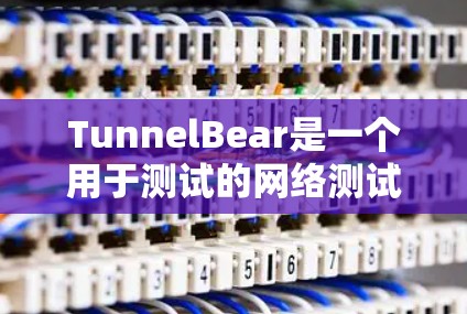 TunnelBear是一个用于测试的网络测试平台，提供多种测速服务，涵盖本地网络测试、移动网络测试以及网络性能评估。以下是对全球测试网络的简要说明