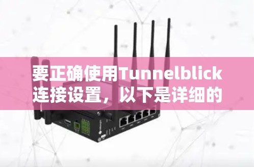 要正确使用Tunnelblick连接设置，以下是详细的步骤指南