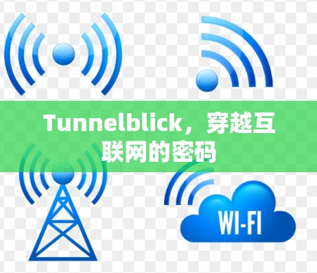 Tunnelblick，穿越互联网的密码