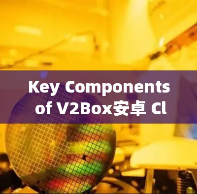Key Components of V2Box安卓 Client: