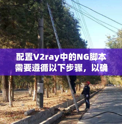 配置V2ray中的NG脚本需要遵循以下步骤，以确保脚本能够正确运行并生成视频