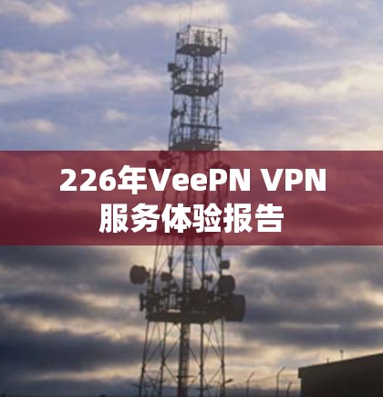 226年VeePN VPN服务体验报告