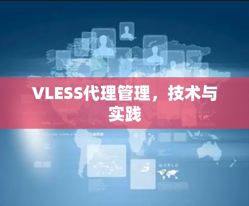 VLESS代理管理，技术与实践