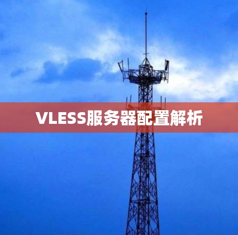 VLESS服务器配置解析