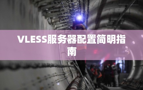 VLESS服务器配置简明指南