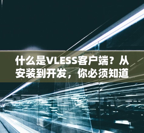 什么是VLESS客户端?从安装到开发,你必须知道的VLESS客户端教程 什么是VLESS客户端?从安装到开发,你必须知道的VLESS客户端教程