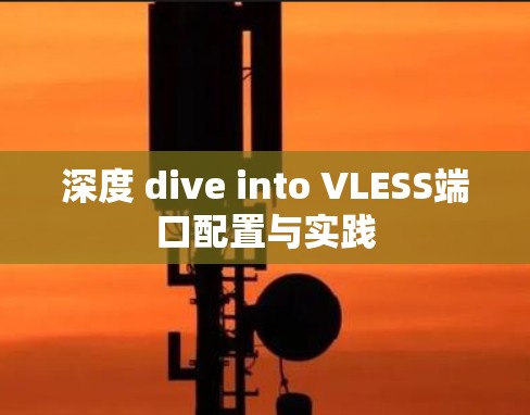 深度 dive into VLESS端口配置与实践 深度 dive into VLESS端口配置与实践