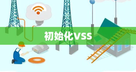 初始化VSS