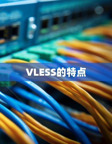 VLESS的特点