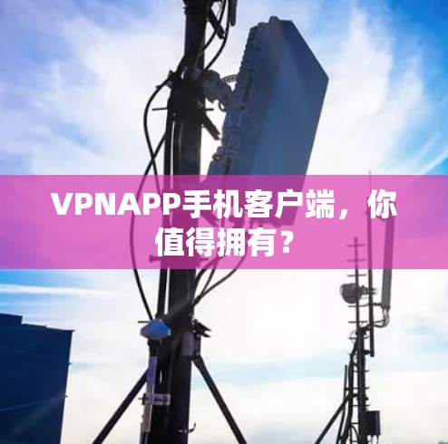 VPNAPP手机客户端，你值得拥有？