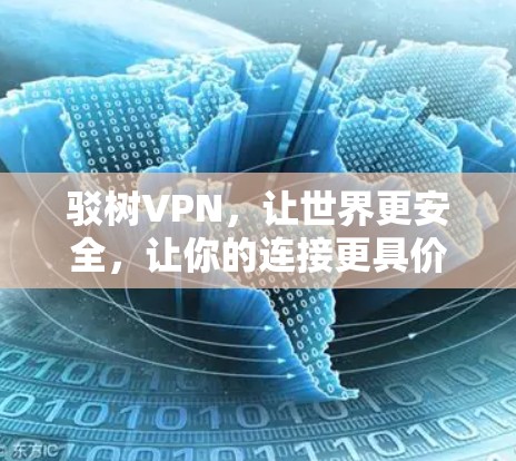 驳树VPN，让世界更安全，让你的连接更具价值—推荐一款全球领先的VPN应用