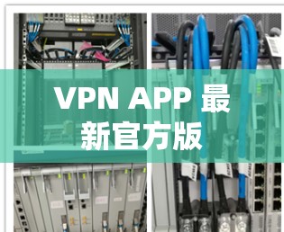 VPN APP 最新官方版 VPN APP 最新官方版