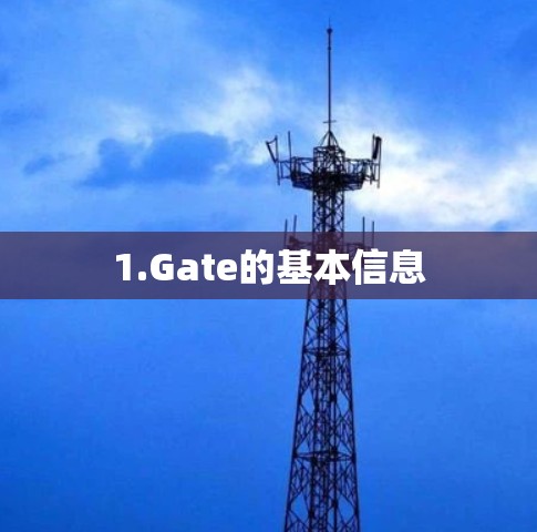 1.Gate的基本信息