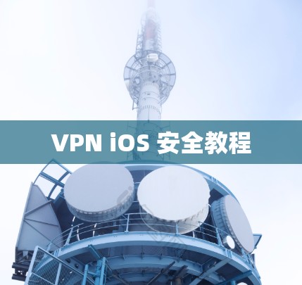 VPN iOS 安全教程