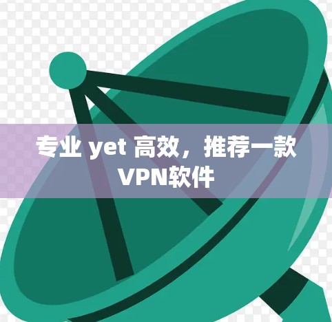 专业 yet 高效,推荐一款VPN软件 专业 yet 高效,推荐一款VPN软件