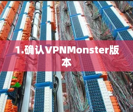 1.确认VPNMonster版本