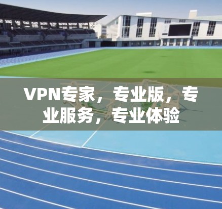 VPN专家，专业版，专业服务，专业体验