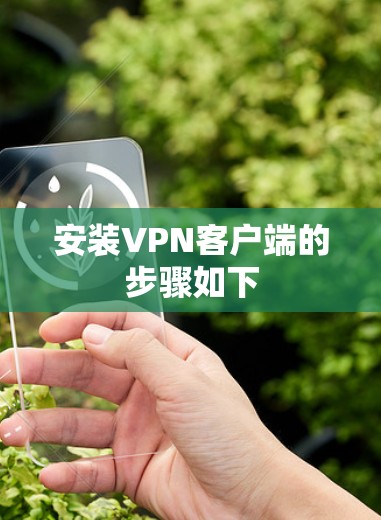 安装VPN客户端的步骤如下 安装VPN客户端的步骤如下