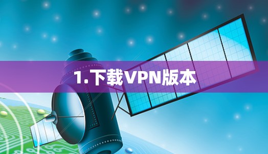 1.下载VPN版本