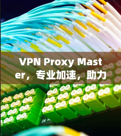 VPN Proxy Master，专业加速，助力安全连接