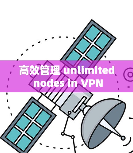 高效管理 unlimited nodes in VPN