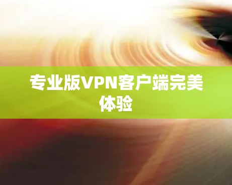 专业版VPN客户端完美体验