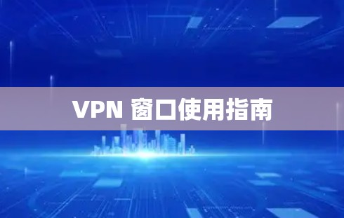 VPN 窗口使用指南