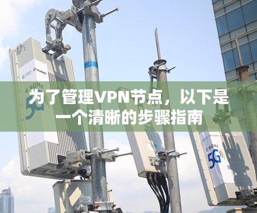 为了管理VPN节点，以下是一个清晰的步骤指南