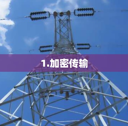 1.加密传输 1.加密传输