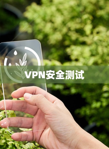 VPN安全测试 VPN安全测试