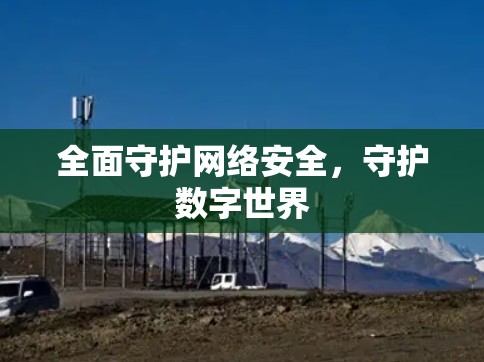 全面守护网络安全，守护数字世界