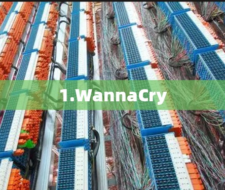 1.WannaCry 1.WannaCry