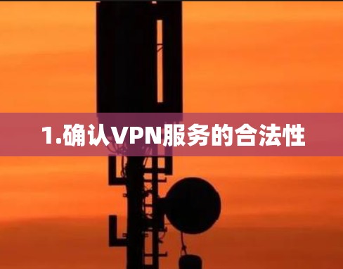 1.确认VPN服务的合法性