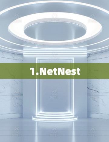 1.NetNest 1.NetNest