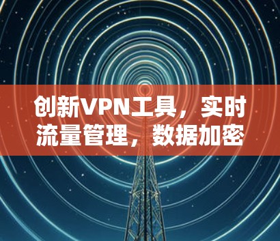 创新VPN工具，实时流量管理，数据加密，场景化支付