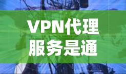 VPN代理服务是通过内网连接到外网的服务器，实现数据加密传输，广泛应用于手机上网、视频访问、流媒体等场景。以下是几种主要的VPN代理公司及其对比分析