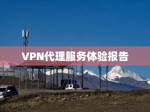 VPN代理服务体验报告 VPN代理服务体验报告