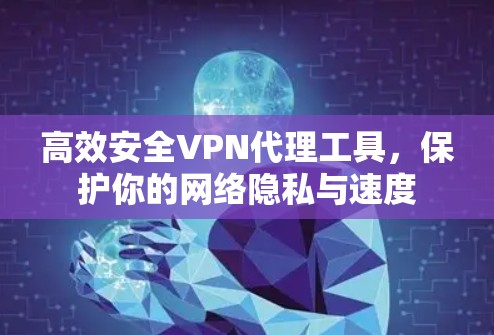 高效安全VPN代理工具,保护你的网络隐私与速度 高效安全VPN代理工具,保护你的网络隐私与速度
